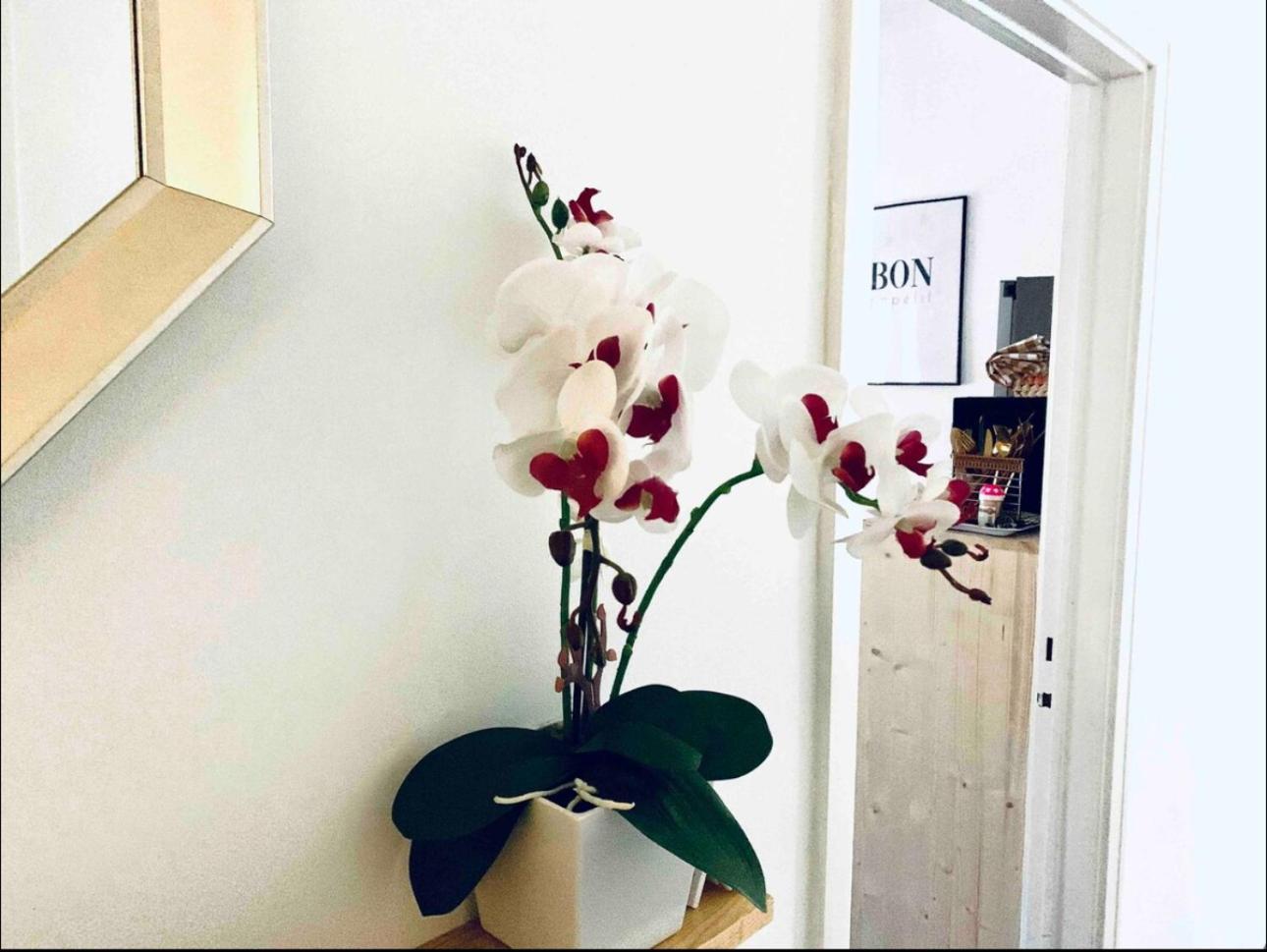 Self-Check In Sunny & Charming Apt Coimbra Luaran gambar